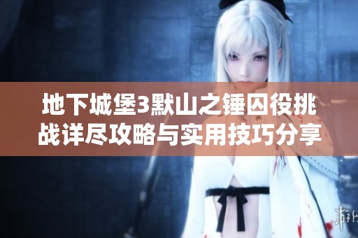 地下城堡3默山之锤囚役挑战详尽攻略与实用技巧分享【全方位指导】