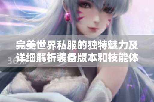 完美世界私服的独特魅力及详细解析装备版本和技能体系的综合指南