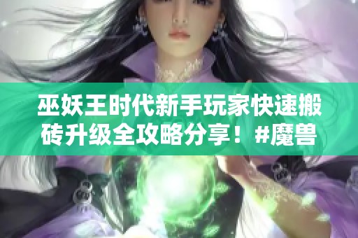 巫妖王时代新手玩家快速搬砖升级全攻略分享！#魔兽世界 #游戏搬砖
