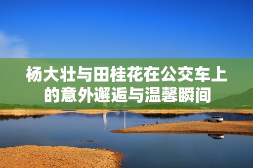 杨大壮与田桂花在公交车上的意外邂逅与温馨瞬间