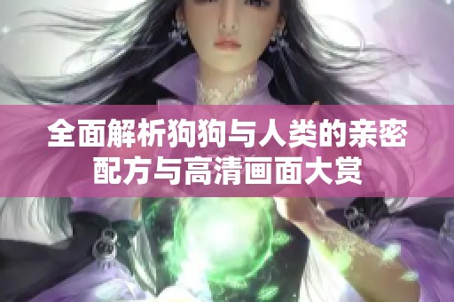 全面解析狗狗与人类的亲密配方与高清画面大赏