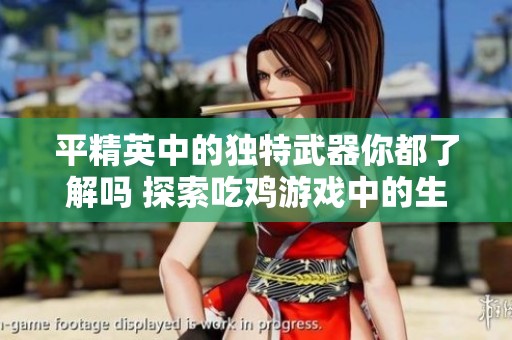 平精英中的独特武器你都了解吗 探索吃鸡游戏中的生存策略与装备选择