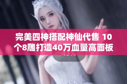 完美四神搭配神仙代售 10个8雕打造40万血量高面板高减的逍遥角色