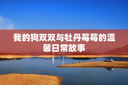 我的狗双双与牡丹莓莓的温馨日常故事