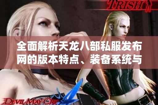 全面解析天龙八部私服发布网的版本特点、装备系统与攻略指南
