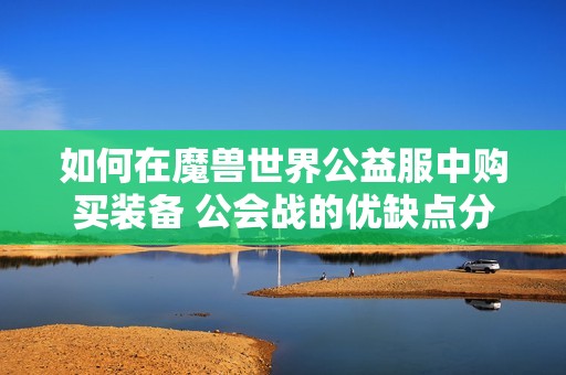 如何在魔兽世界公益服中购买装备 公会战的优缺点分析与攻略