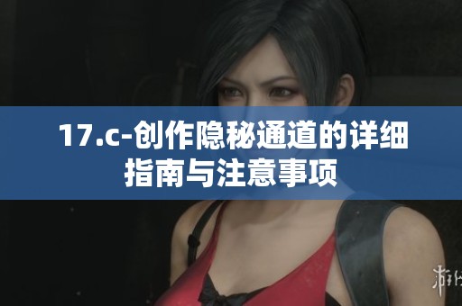 17.c-创作隐秘通道的详细指南与注意事项