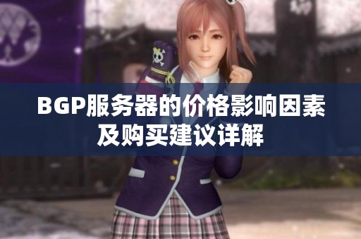 BGP服务器的价格影响因素及购买建议详解