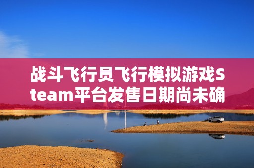 战斗飞行员飞行模拟游戏Steam平台发售日期尚未确定最新动态揭秘
