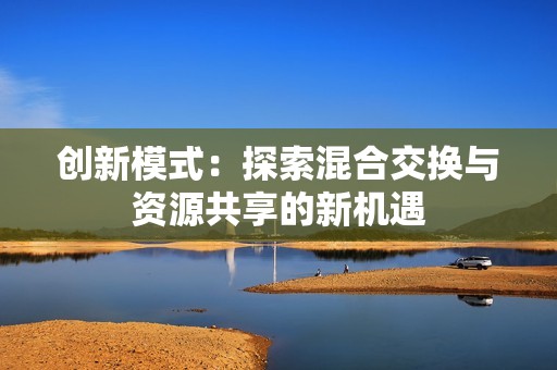 创新模式：探索混合交换与资源共享的新机遇