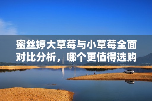蜜丝婷大草莓与小草莓全面对比分析，哪个更值得选购