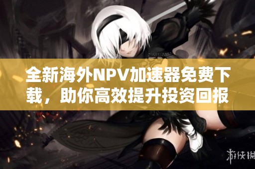 全新海外NPV加速器免费下载，助你高效提升投资回报