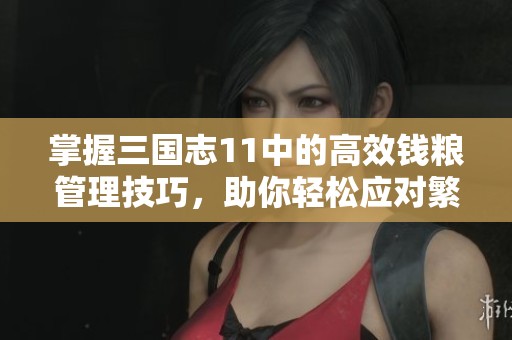 掌握三国志11中的高效钱粮管理技巧，助你轻松应对繁重任务与挑战