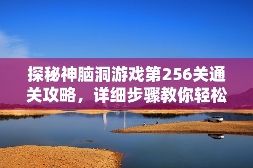 探秘神脑洞游戏第256关通关攻略，详细步骤教你轻松解决难题