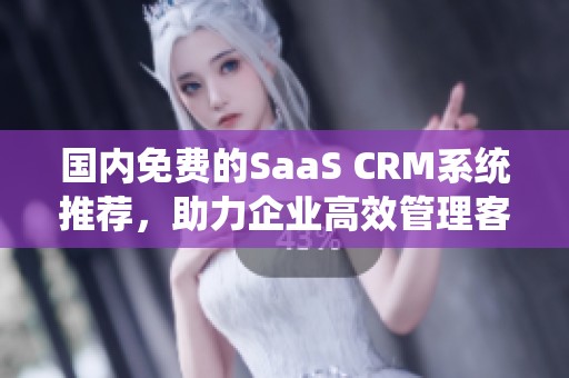 国内免费的SaaS CRM系统推荐，助力企业高效管理客户关系