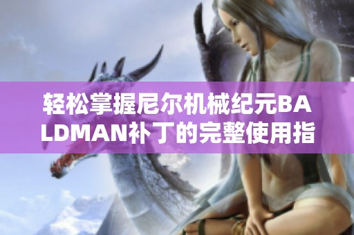 轻松掌握尼尔机械纪元BALDMAN补丁的完整使用指南与技巧分享