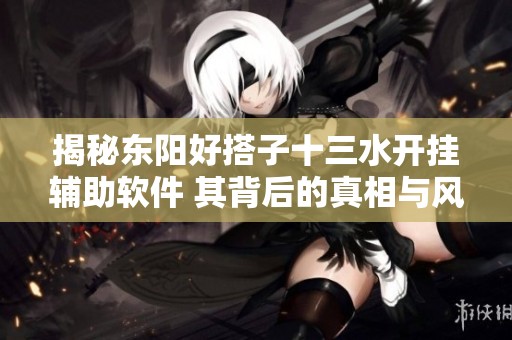 揭秘东阳好搭子十三水开挂辅助软件 其背后的真相与风险解析