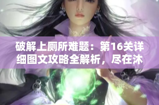 破解上厕所难题：第16关详细图文攻略全解析，尽在沐沐手游网！