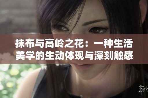抹布与高岭之花：一种生活美学的生动体现与深刻触感