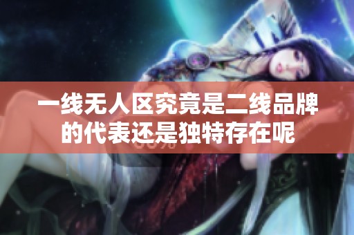 一线无人区究竟是二线品牌的代表还是独特存在呢