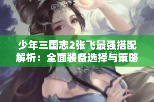 少年三国志2张飞最强搭配解析：全面装备选择与策略攻略详解