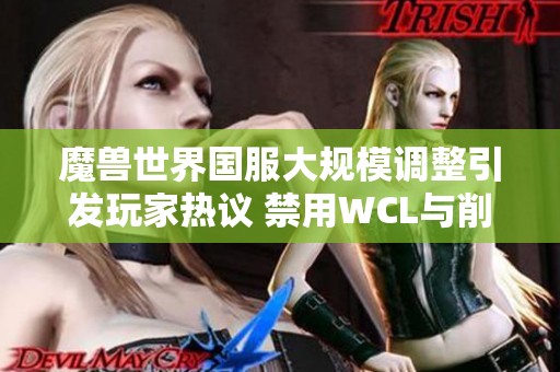 魔兽世界国服大规模调整引发玩家热议 禁用WCL与削弱奥杜尔成为争论中心