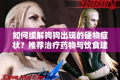 如何缓解狗狗出现的硬物症状？推荐治疗药物与饮食建议