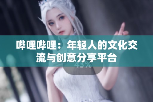 哔哩哔哩：年轻人的文化交流与创意分享平台