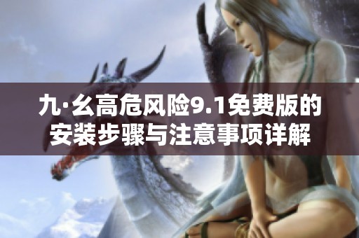 九·幺高危风险9.1免费版的安装步骤与注意事项详解