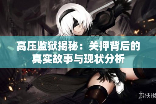 高压监狱揭秘：关押背后的真实故事与现状分析