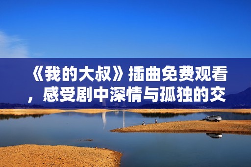 《我的大叔》插曲免费观看，感受剧中深情与孤独的交织。