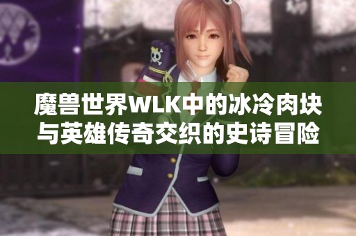 魔兽世界WLK中的冰冷肉块与英雄传奇交织的史诗冒险之旅