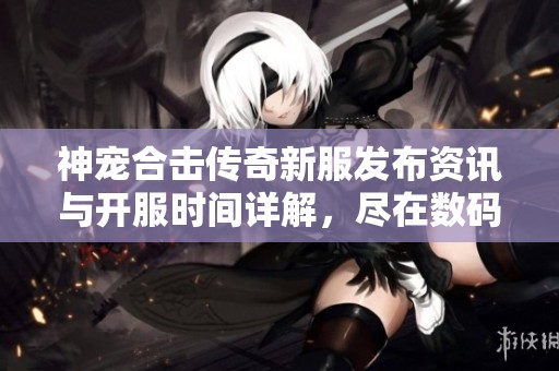 神宠合击传奇新服发布资讯与开服时间详解，尽在数码世界网络游戏平台