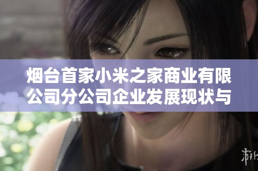 烟台首家小米之家商业有限公司分公司企业发展现状与未来前景分析