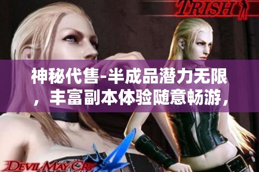 神秘代售-半成品潜力无限，丰富副本体验随意畅游，助你快速提升游戏实力