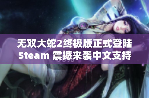 无双大蛇2终极版正式登陆Steam 震撼来袭中文支持激发热情用户狂欢