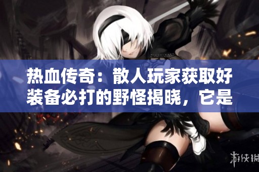 热血传奇：散人玩家获取好装备必打的野怪揭晓，它是玩家心中真正的宝藏！