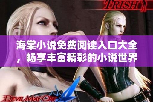 海棠小说免费阅读入口大全，畅享丰富精彩的小说世界