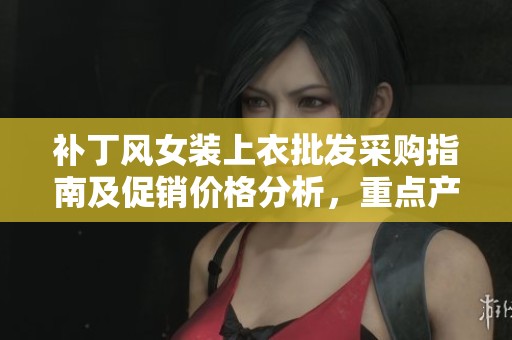 补丁风女装上衣批发采购指南及促销价格分析，重点产地货源推荐