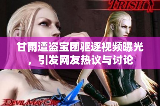 甘雨遭盗宝团驱逐视频曝光，引发网友热议与讨论