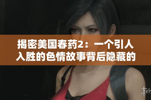 揭密美国春药2：一个引人入胜的色情故事背后隐藏的秘密