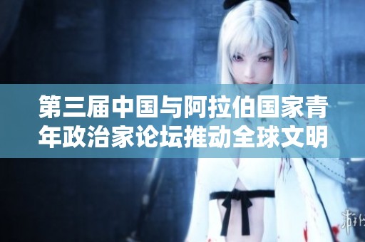 第三届中国与阿拉伯国家青年政治家论坛推动全球文明倡议宣言的实际落实与探讨