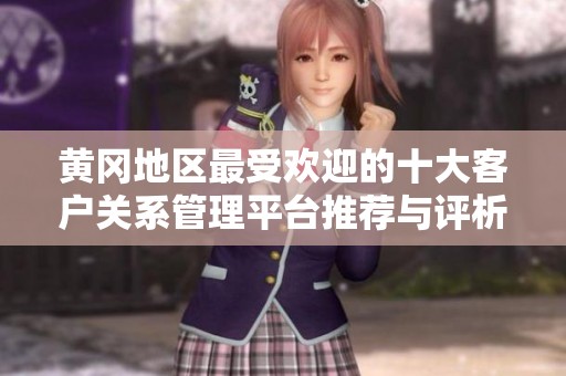 黄冈地区最受欢迎的十大客户关系管理平台推荐与评析