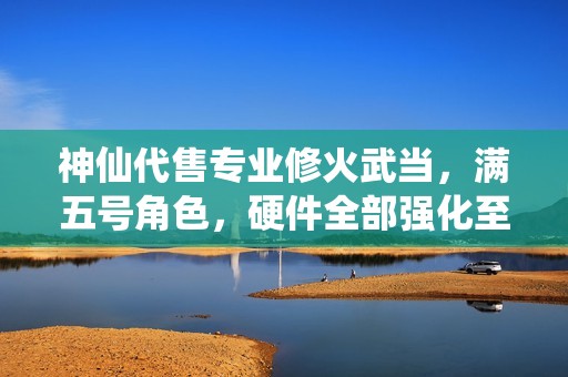 神仙代售专业修火武当，满五号角色，硬件全部强化至九级，绝佳游戏体验等你来领悟。