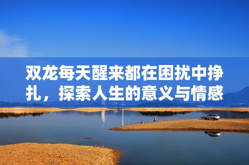双龙每天醒来都在困扰中挣扎，探索人生的意义与情感纠葛