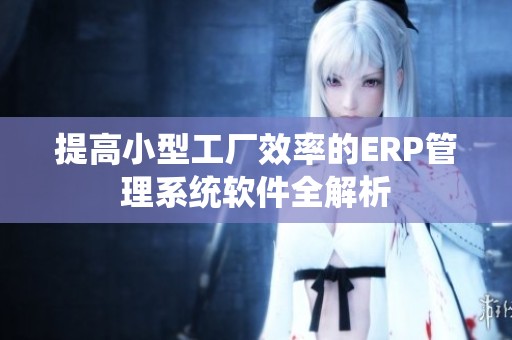 提高小型工厂效率的ERP管理系统软件全解析