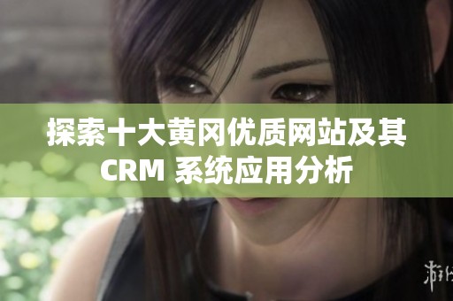 探索十大黄冈优质网站及其 CRM 系统应用分析 