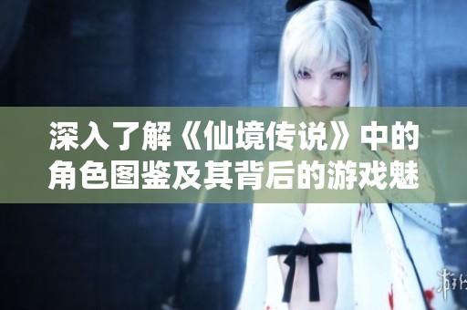 深入了解《仙境传说》中的角色图鉴及其背后的游戏魅力与故事探索
