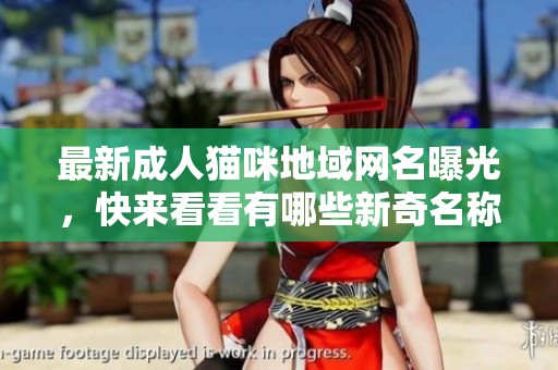 最新成人猫咪地域网名曝光，快来看看有哪些新奇名称