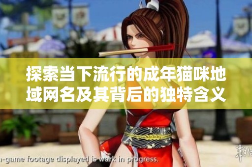 探索当下流行的成年猫咪地域网名及其背后的独特含义